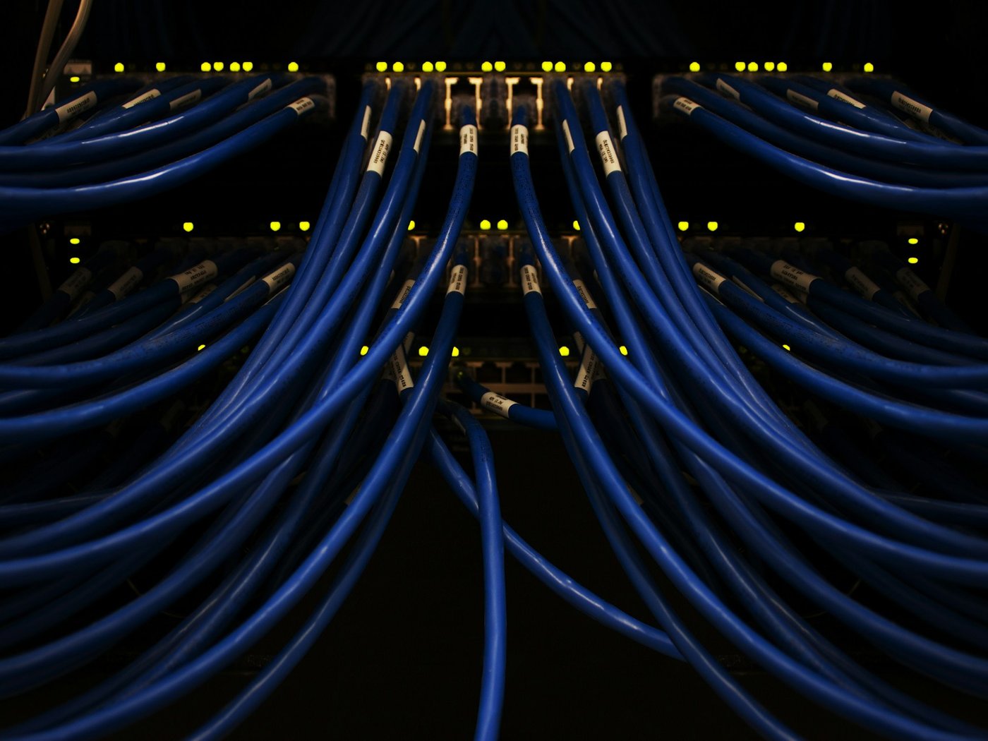 Blue network cables patched into a managed switch